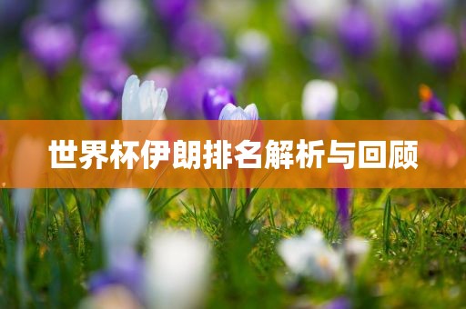 chenyunfa 第4页