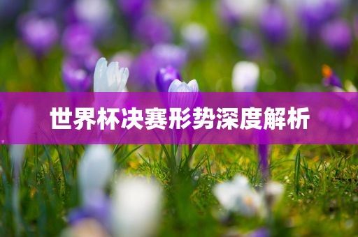 世界杯决赛形势深度解析漯河市盈旭机械设备有限公司