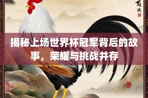 揭秘上场世界杯冠军背后的故事，荣耀与挑战并存