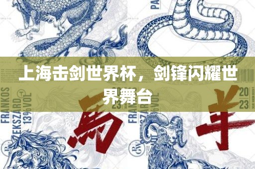 上海击剑世界杯，剑锋闪耀世界舞台
