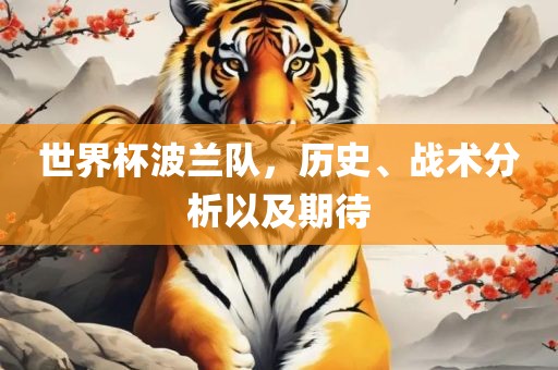 世界杯波兰队，历史、战术分析以及期待