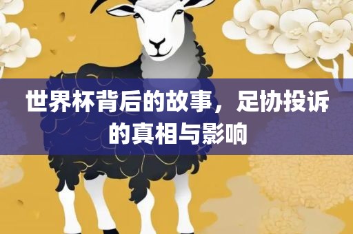 世界杯背后的故事，足协投诉的真相与影响