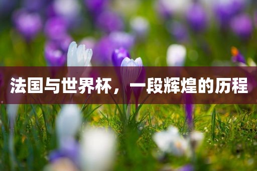 法国与世界杯，一段辉煌的历程