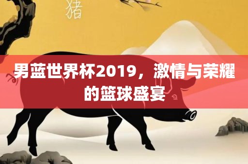男蓝世界杯2019，激情与荣耀的篮球盛宴
