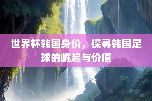 世界杯韩国身价，探寻韩国足球的崛起与价值