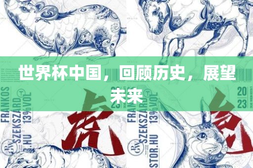 世界杯中国，回顾历史，展望未来