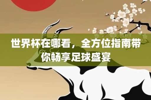 世界杯在哪看，全方位指南带你畅享足球盛宴