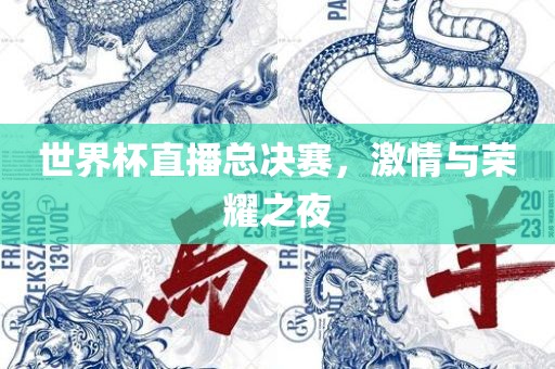 世界杯直播总决赛，激情与荣耀之夜